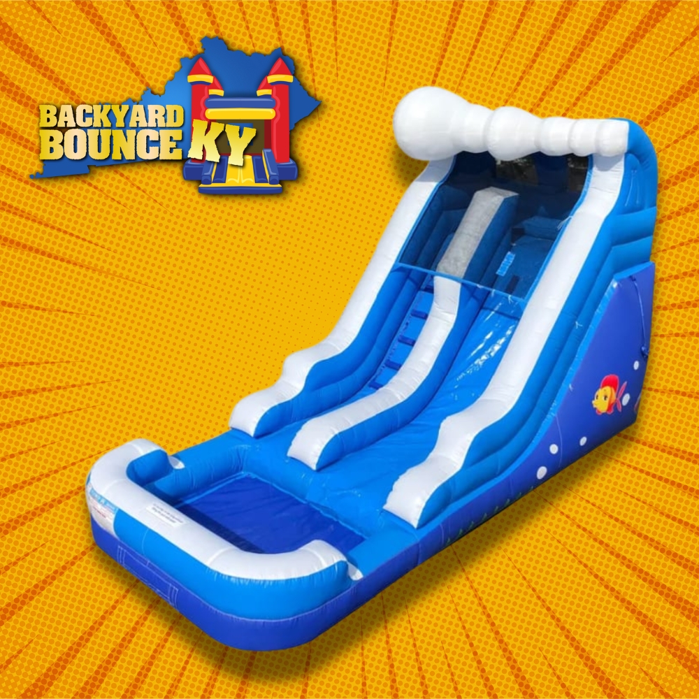 Best Birthday Parties in Lexington KY Backyard Bounce KY Parties